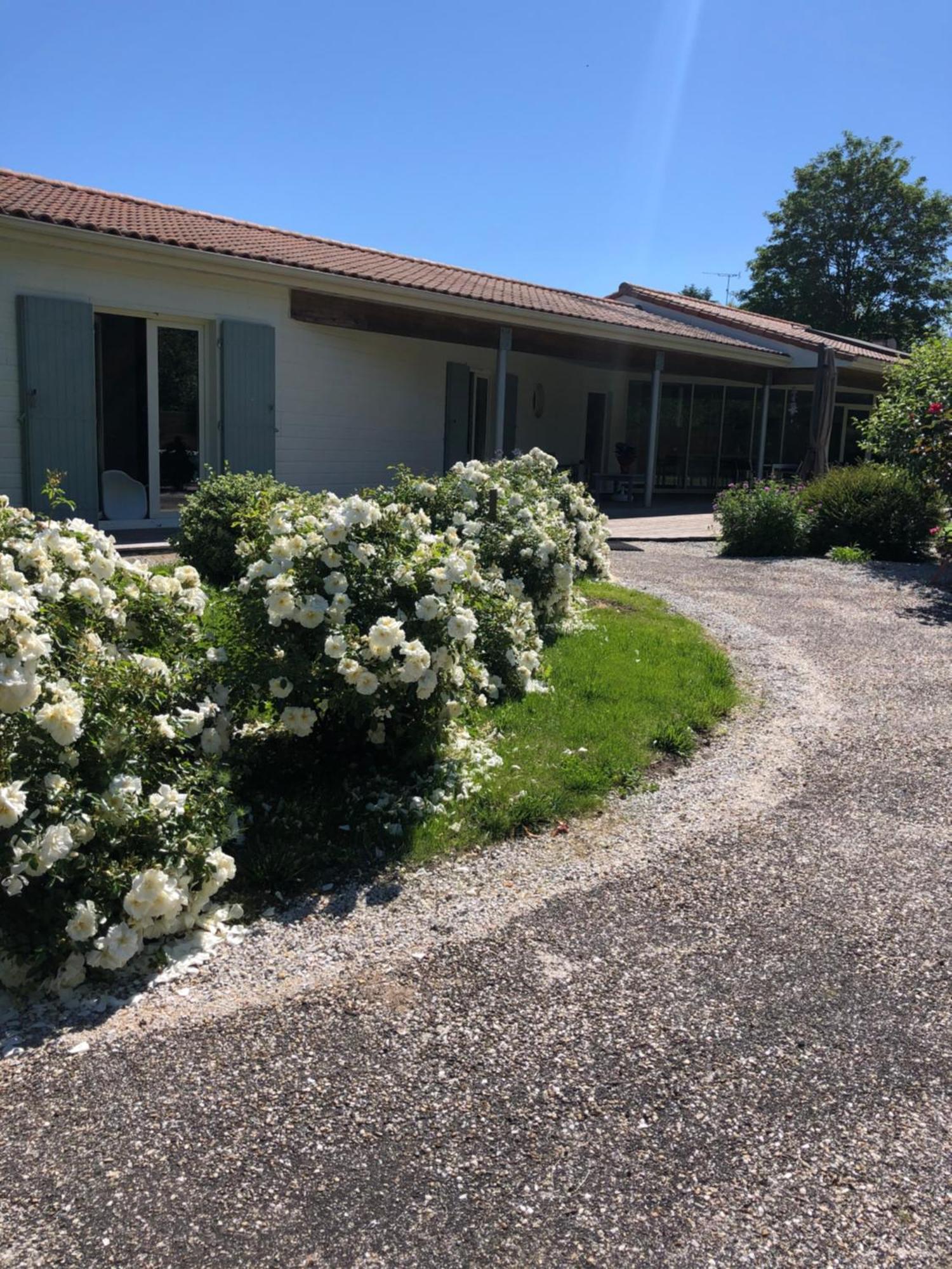 Chambres D Hotes Villa Anani Cosson Alex Barbezieux-Saint-Hilaire Exterior photo